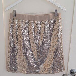 Sequined Skirt